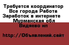 Требуется координатор - Все города Работа » Заработок в интернете   . Мурманская обл.,Видяево нп